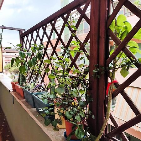 Apartmán Euforbia House Lido di Ostia Exteriér fotografie