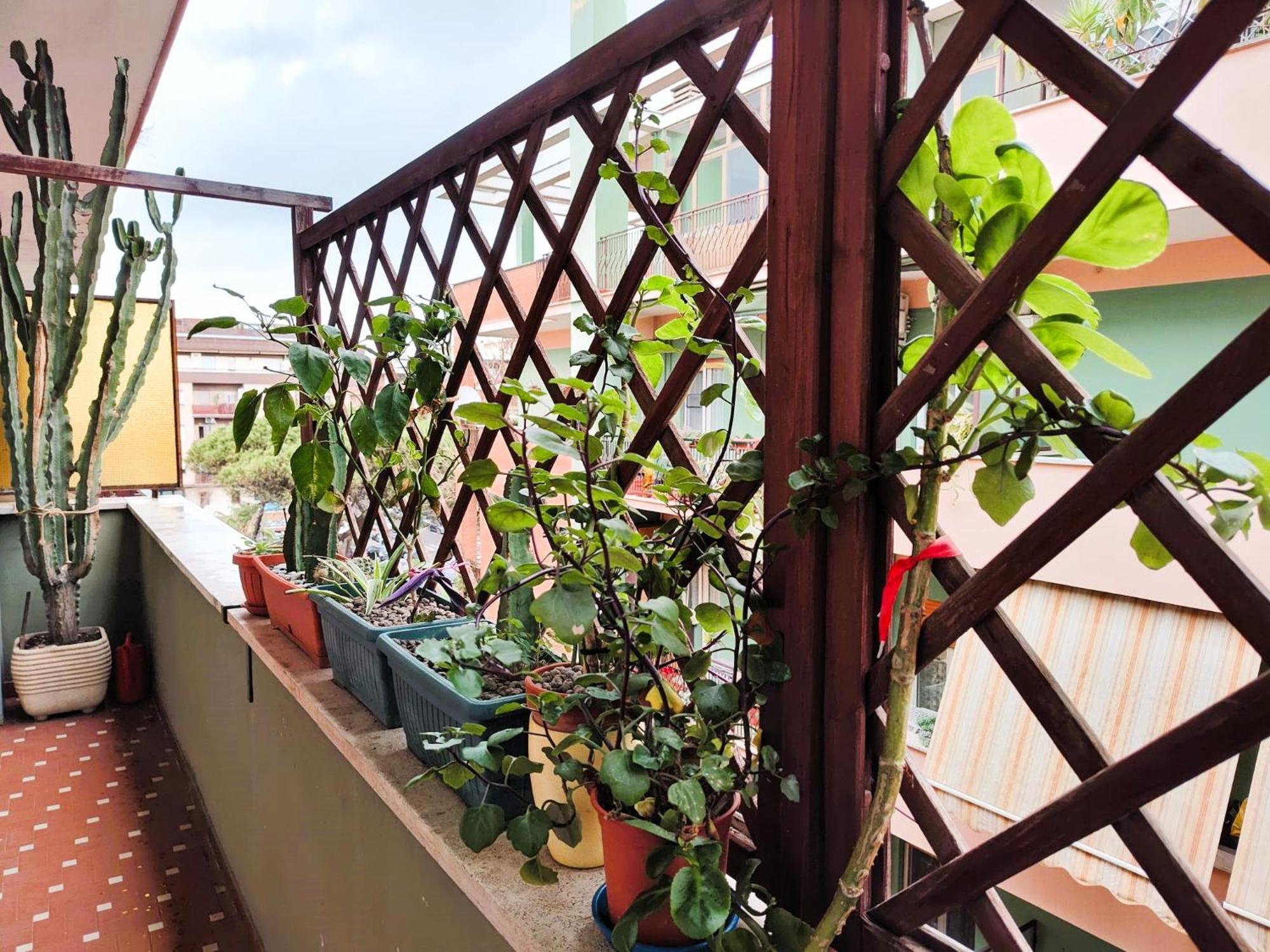 Apartmán Euforbia House Lido di Ostia Exteriér fotografie