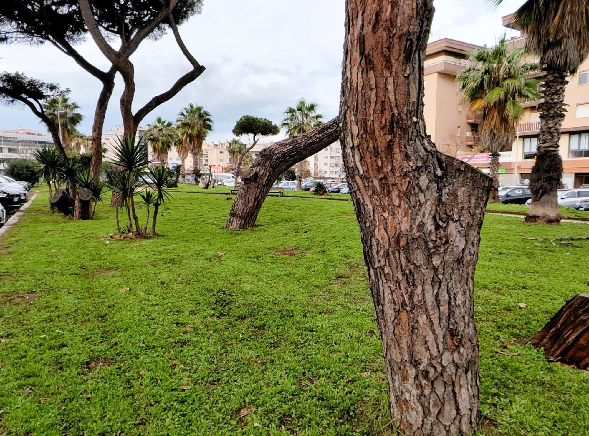 Apartmán Euforbia House Lido di Ostia Exteriér fotografie